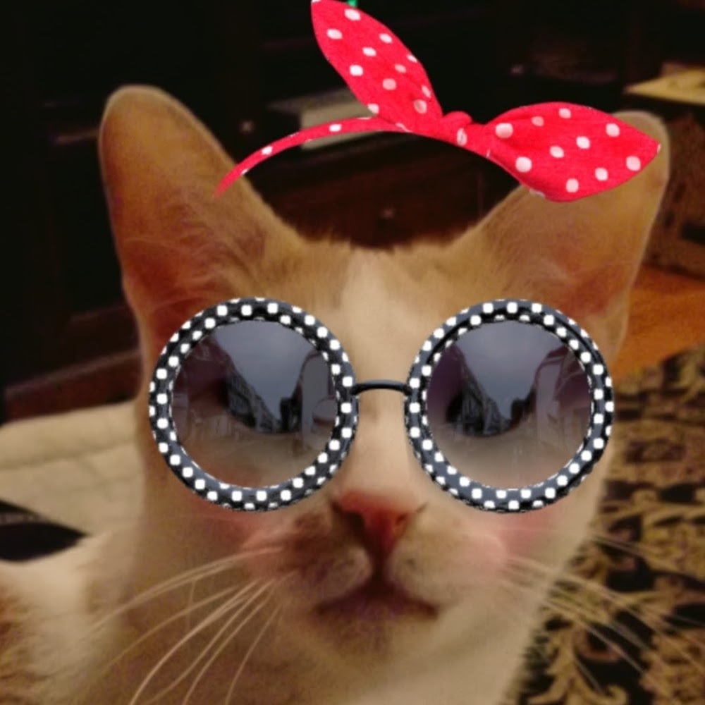 Meet your Posher, Tiffany